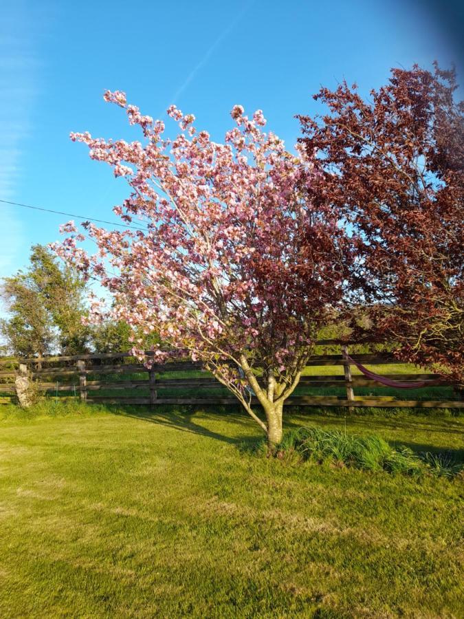 Shadowvale E34X773 Bed & Breakfast Tipperary Luaran gambar