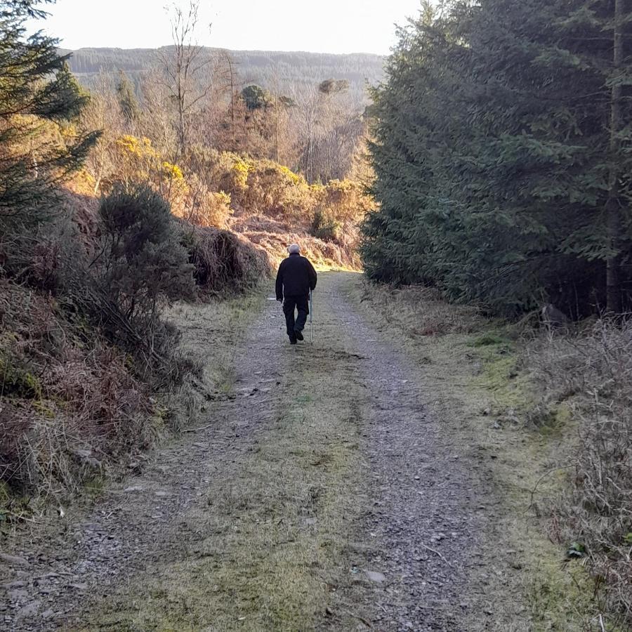 Shadowvale E34X773 Bed & Breakfast Tipperary Luaran gambar
