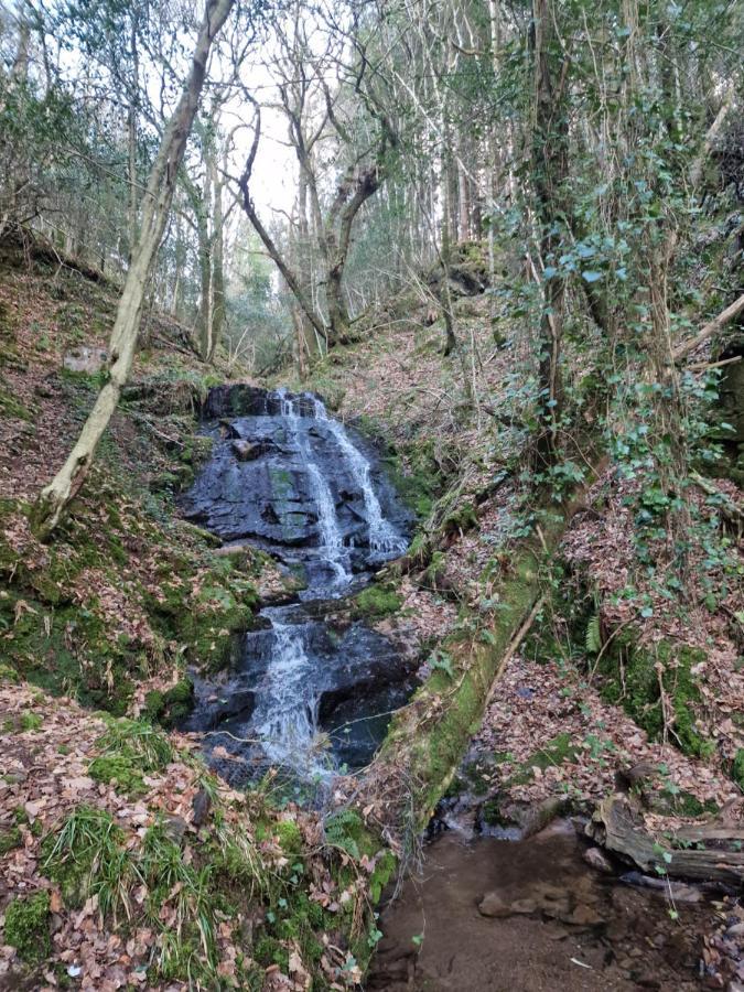 Shadowvale E34X773 Bed & Breakfast Tipperary Luaran gambar